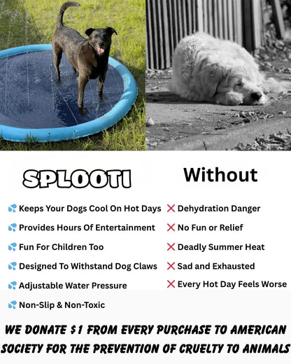Pataugeoire Splooti™